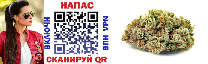 кракен как войти  Славгород  Бошки Шишки OG Kush 